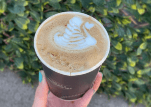 Horse boxes out, geo-domes in? This Kilmainham cafe may be starting a new trend Horse boxes out, geo-domes in? This Kilmainham cafe may be starting a new trend