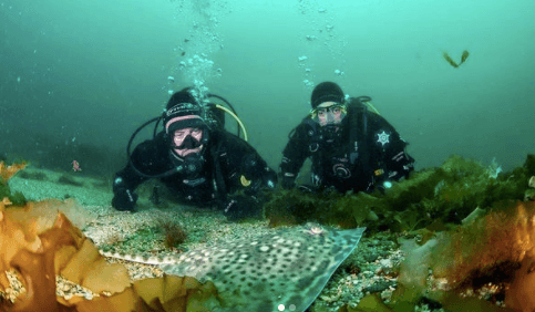 Ever wanted to try scuba diving? Now’s your chance Ever wanted to try scuba diving? Now’s your chance