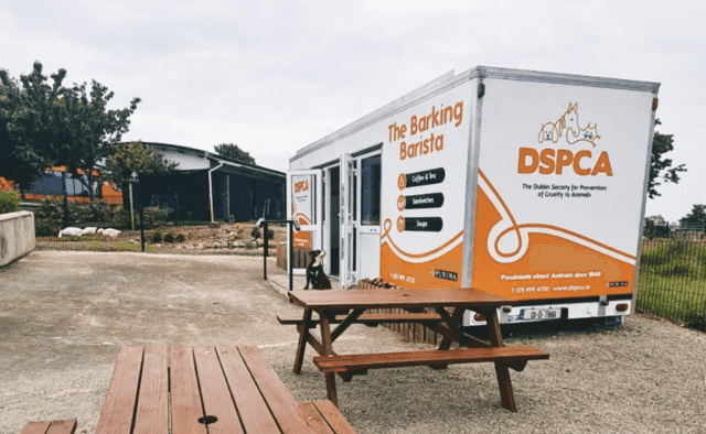 ‘We could not be happier’ Ruff Café opens new spot at DSPCA