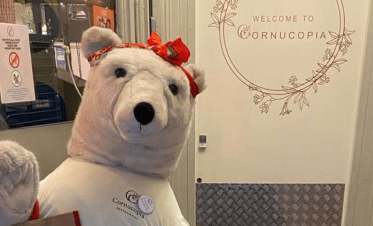 ‘No questions asked’ Cornucopia offer reward for stolen Christmas bear’s safe return ‘No questions asked’ Cornucopia offer reward for stolen Christmas bear’s safe return
