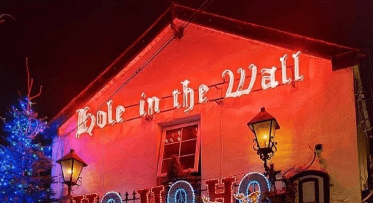 D7 bar served with HSE closure order last month due to ‘significant black mould’ D7 bar served with HSE closure order last month due to ‘significant black mould’