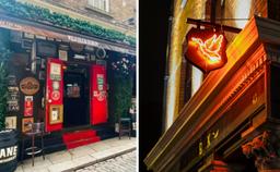 Why are there so many pubs named after ducks and geese in Dublin? Why are there so many pubs named after ducks and geese in Dublin?