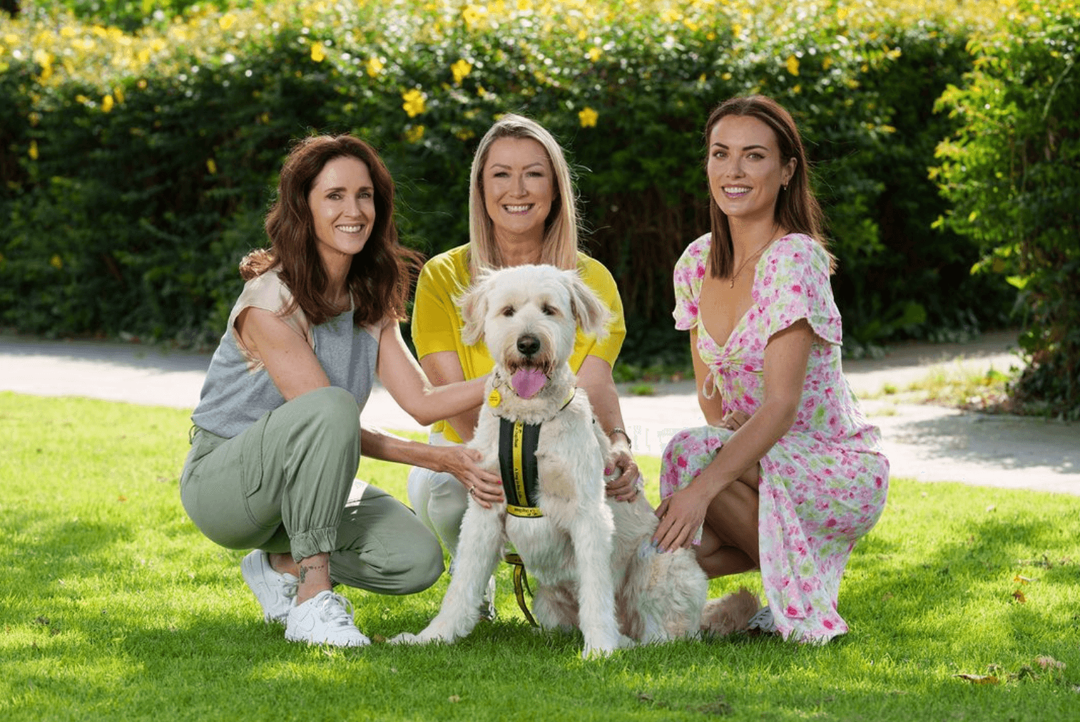 Dogs Trust to host memorial walk to honour past pups at Malahide Castle