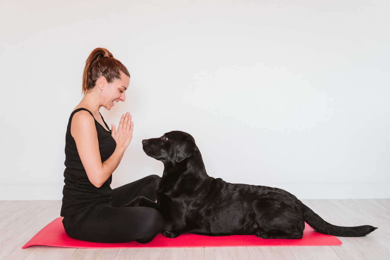 The London dog yoga trend has finally landed in Dublin