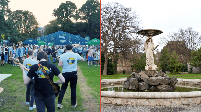 Irish musicians and comics speak out as gigs at Iveagh Gardens come under threat Irish musicians and comics speak out as gigs at Iveagh Gardens come under threat