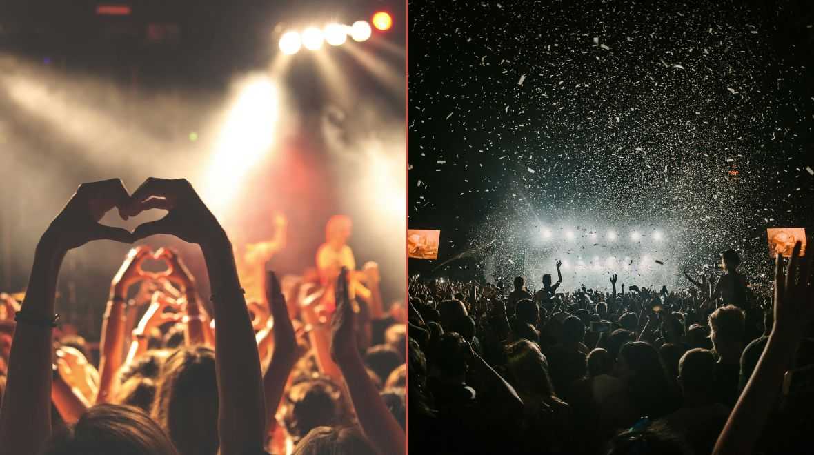 Fans left devastated after Wild Roots 2024 cancelled