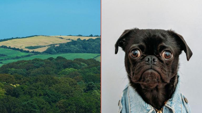 Ye what? Tourists find these 5 Irish towns the hardest to pronounce Ye what? Tourists find these 5 Irish towns the hardest to pronounce