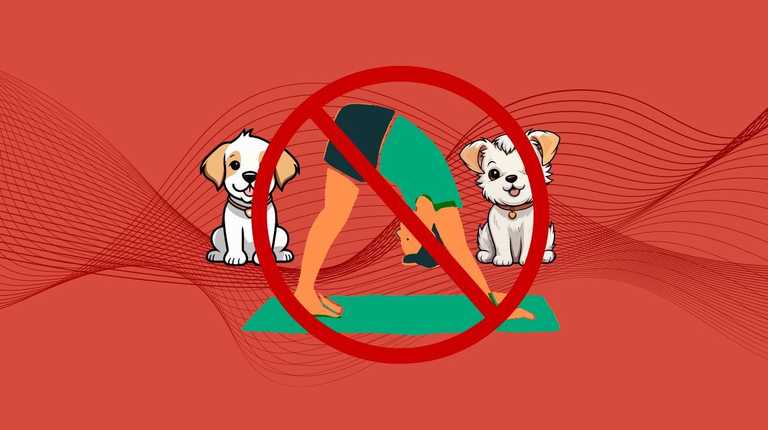 Animal welfare charities urge public not to attend new puppy yoga sessions Animal welfare charities urge public not to attend new puppy yoga sessions