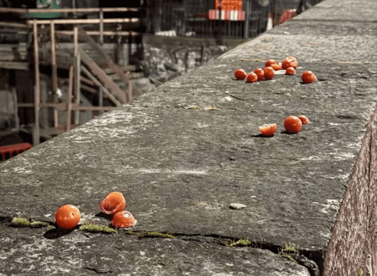 Why We’re So Obsessed with the Cherry Tomato Bridge Why We’re So Obsessed with the Cherry Tomato Bridge