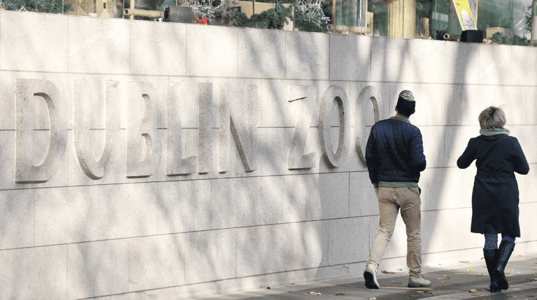 Dublin Zoo ‘vehemently disputes’ welfare allegations made in Dáil Dublin Zoo ‘vehemently disputes’ welfare allegations made in Dáil