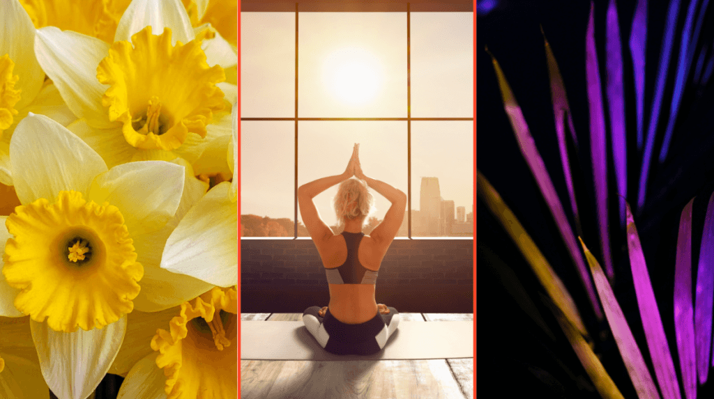 Your Easter Bank holiday plans are sorted