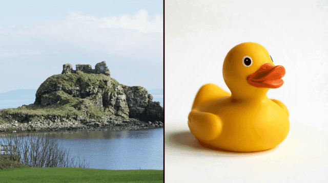 Plastic duck discovered on Islay after drifting from Dublin for 20 years Plastic duck discovered on Islay after drifting from Dublin for 20 years