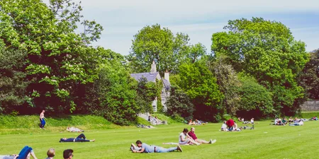 15 of the best picnic spots in Dublin to spend a sunny afternoon
