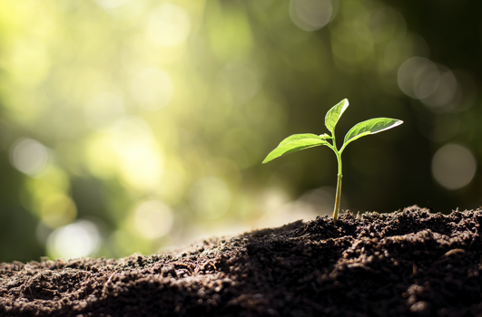 Sustainable living