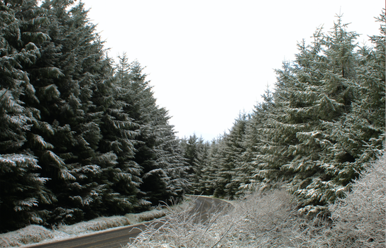 Snow in Dublin