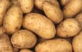 “Potato I Have”: Why Are We So Obsessed with Potatoes