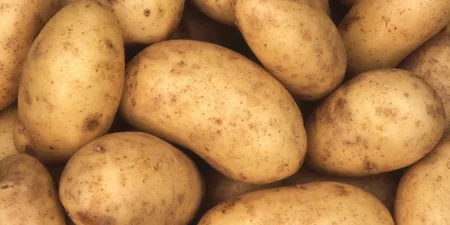 “Potato I Have”: Why Are We So Obsessed with Potatoes