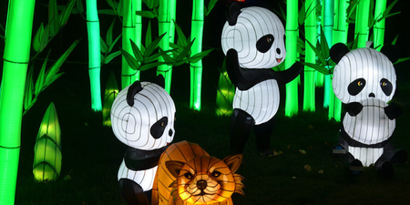 7 ways to celebrate Chinese New Year in Dublin
