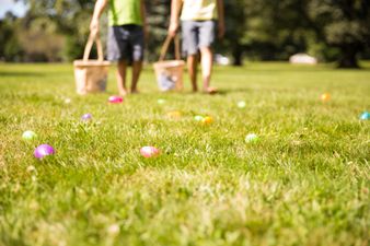 Meltdown to host Easter Egg Hunt in Stephen’s Green