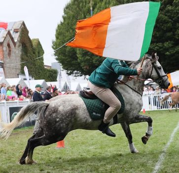 RDS Dublin horse show