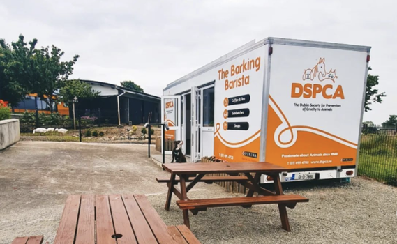 ruff café DSPCA