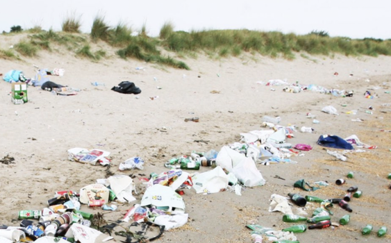 burrow beach litter