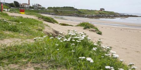 Do Not Swim notice issued for Balbriggan beach due to high levels of E.coli