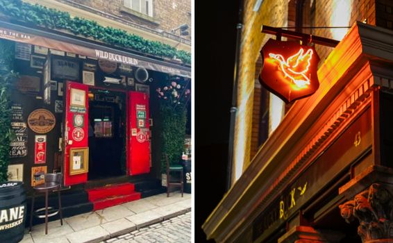 duck pubs dublin